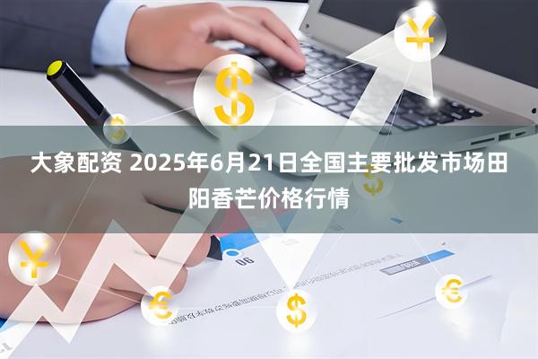 大象配资 2025年6月21日全国主要批发市场田阳香芒价格行情