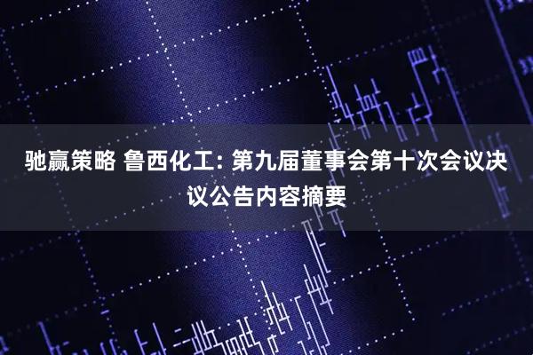 驰赢策略 鲁西化工: 第九届董事会第十次会议决议公告内容摘要