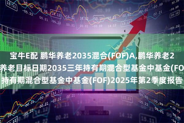 宝牛E配 鹏华养老2035混合(FOF)A,鹏华养老2035混合(FOF)Y: 鹏华养老目标日期2035三年持有期混合型基金中基金(FOF)2025年第2季度报告