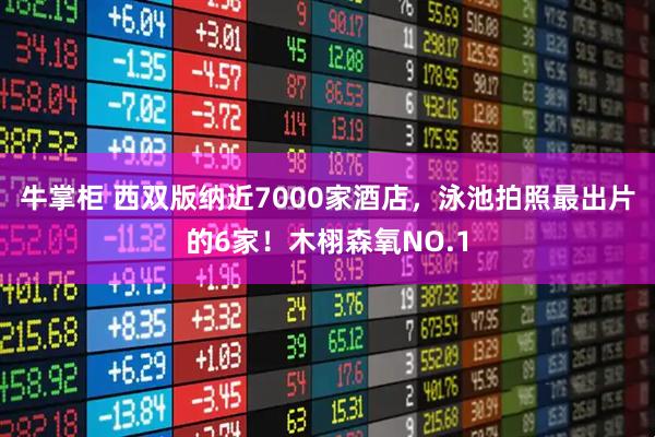 牛掌柜 西双版纳近7000家酒店，泳池拍照最出片的6家！木栩森氧NO.1